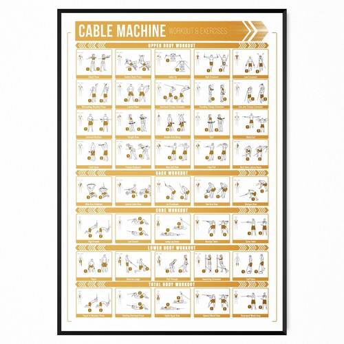 Cable WORKOUT POSTER GYM Workout Full Body Exercises Training Poster A5