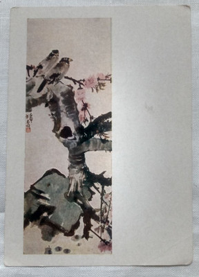 China Postcard ''Birds''  Zhang Shu-tsu