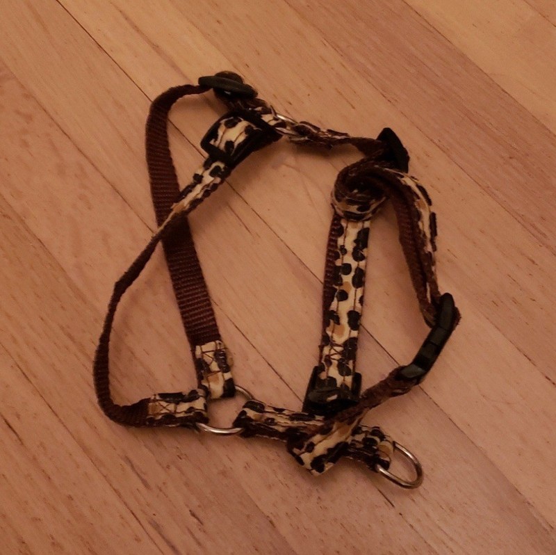 United K9s Lepoard Print Harness SZ XS, Measures 1/2" x 12"-16"