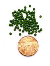 Dolls House Miniature - Garden Peas - (DD142) - P+P Combined