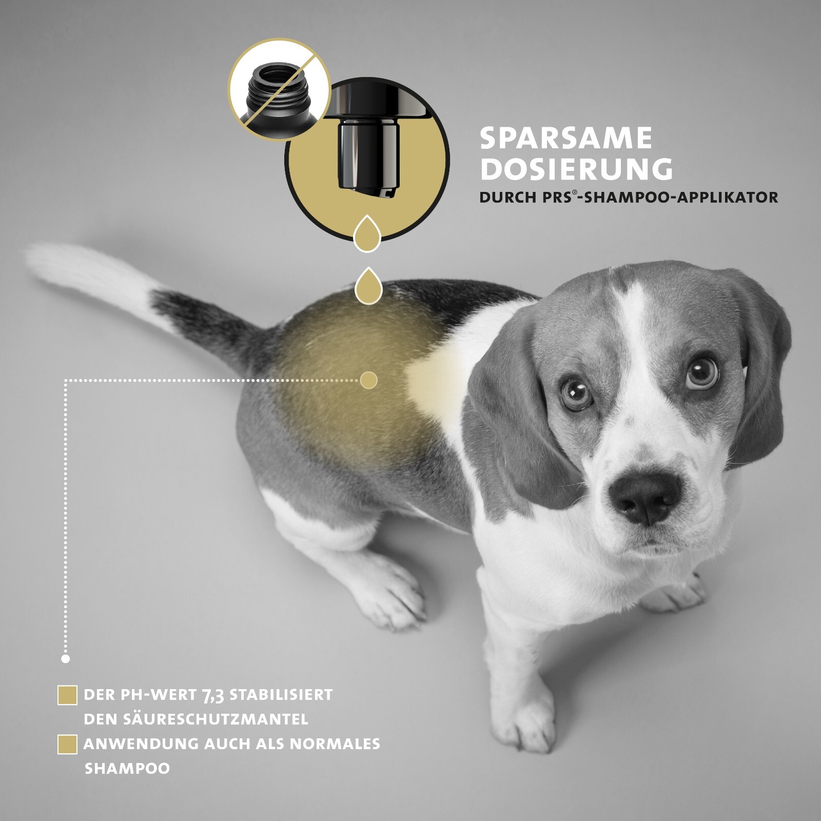 Bild 5 von 8