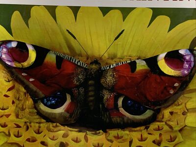 1000 Piece Jigsaw Puzzle - Johannes Stötter Bodypainting Illusion Art: Butterfly