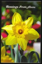 Blessings From Above (Salesian Inspirational Books)