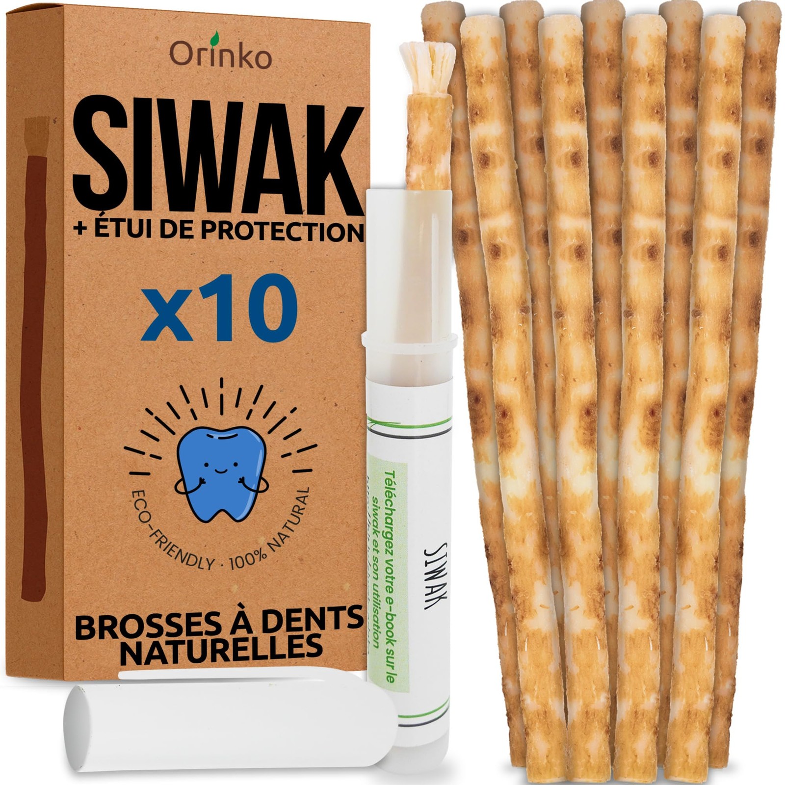 Bâton de siwak miswak bio lot de 10 avec étui brosse à dents écologique pour gencives