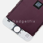 Afbeelding 64 van 601