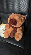 25cm Soft Capybara Plush Doll with Scarf - Cute Kawaii Animal Gift for Kids