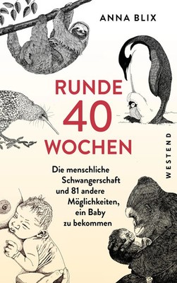 Runde 40 Wochen | Anna Blix | Buch | 288 S. | Deutsch | 2024 | Westend