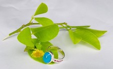 Handgefertigt in 925 Sterling Silber, ein leb...