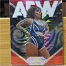 2024 Upper Deck Allure AEW Insert Wrestling Sports Trading Card  Red Pulsar 