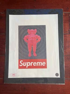 Kaws Chum rosa signiert und nummeriert 11/100 Beschreibung lesen 