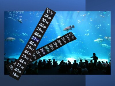 3 x Neu LCD Digital Aquarium Aquarium Thermometer Aufkleber Dual Skala 