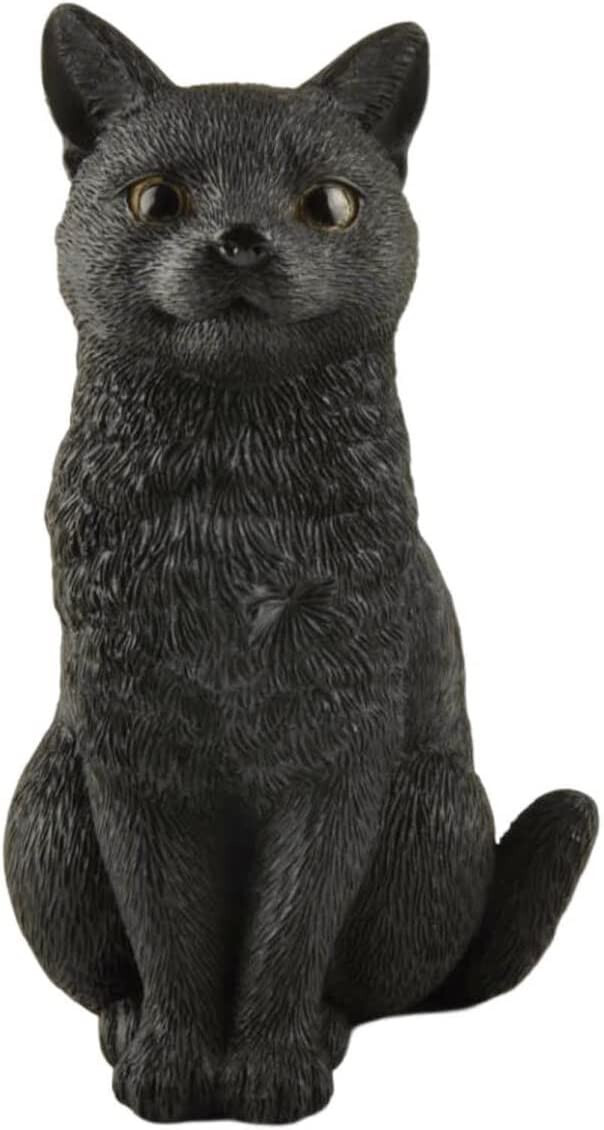 BLACK CATS シルバー フィギュア 51sSICoR+HL._UF350,350_QL80_.jpg