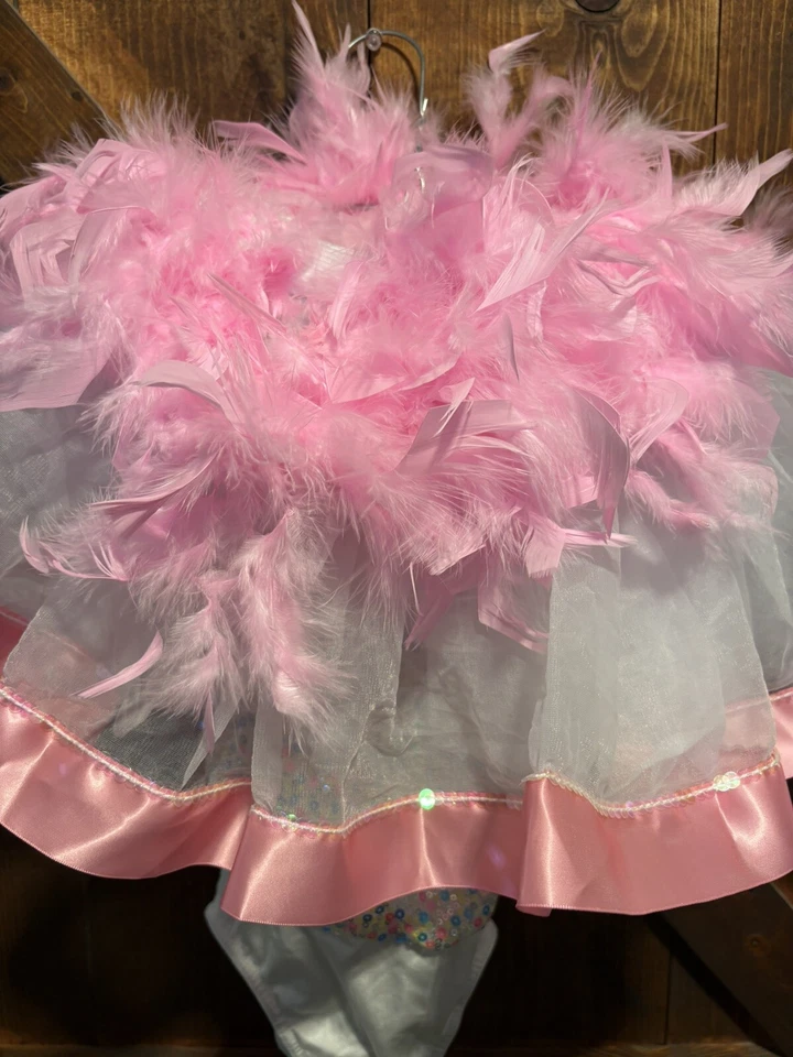 Costume Gallery Girls Pink Dance Dress Lot with Tutu And Feather Tutu - Image 2 of 4