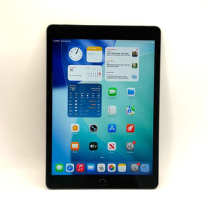 iPad 9th Generation 256GB Wifi Cellular | eBay