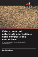 Valutazione Del Potenziale Energetico E Della Composizione Elementare Adamu Buch