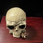 Skull Trinket Box Container w/ Removable Top Lid - Beige/Black — photo 2