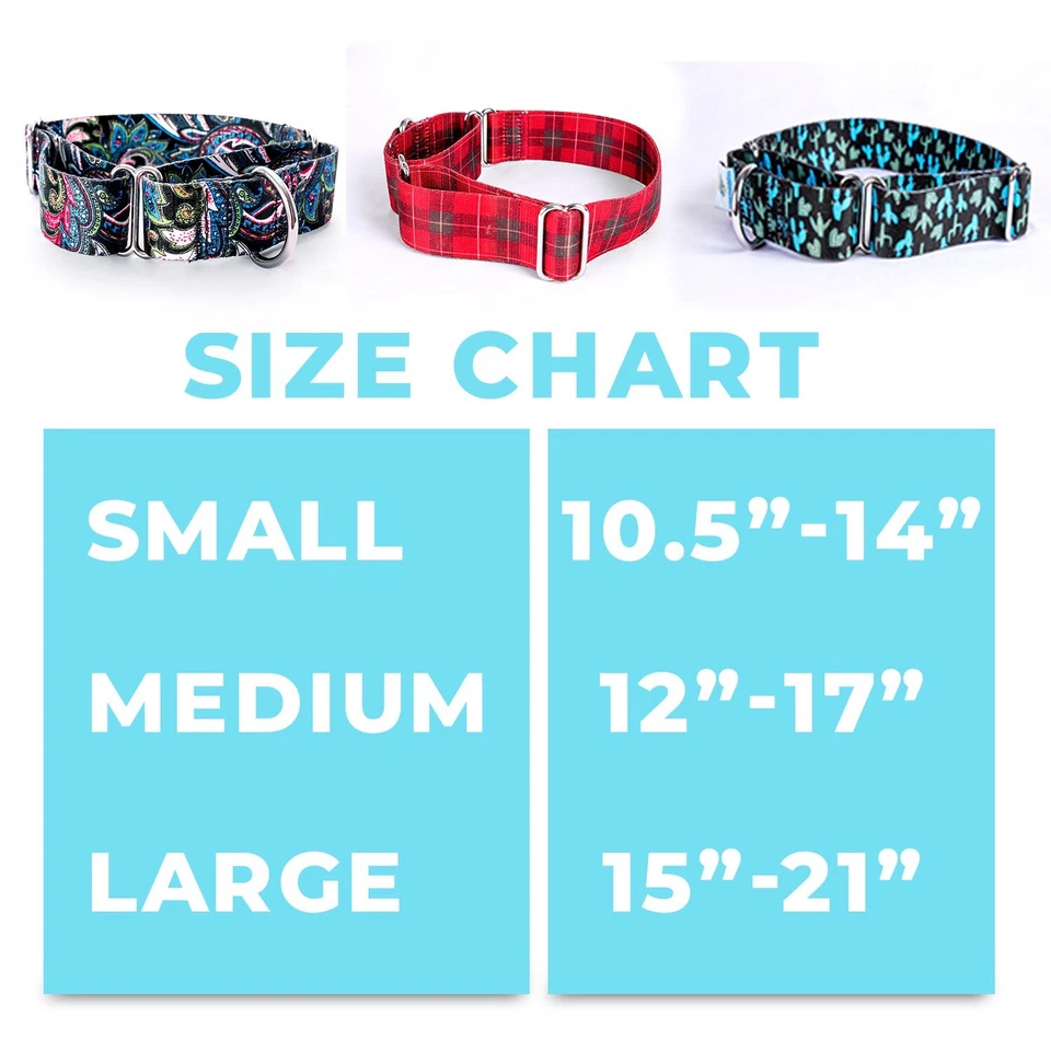 Medium Paisley Martingale Dog Collar - Image 4 of 4