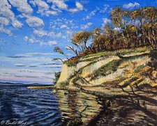 Acrylbild.Handgemalt. Leinwand. Steilküste , Ostsee. 50x40cm ungerahmt.