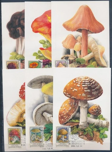 XE59678 Hungary 1986 mushrooms fungi plants maxicards used