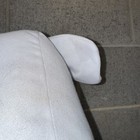 Bild 12 von 15