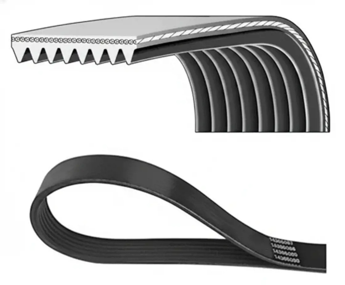 DAYCO 8PK800HD Keilrippenriemen Keilriemen - Bild 2