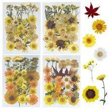 Dried Flowers for Resin Molds 4 Pack 137 Pcs Yellow Natural Pressed Leaves