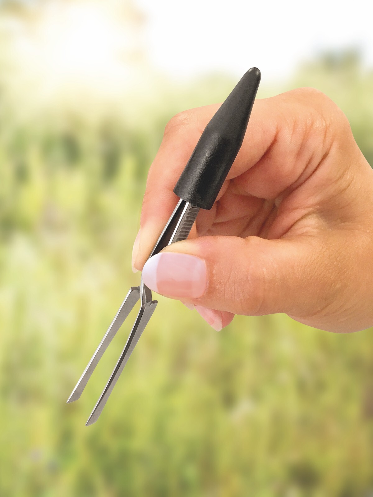 Tick Tweezers Tick Forceps Erbe Solingen Becker Manicure Germany