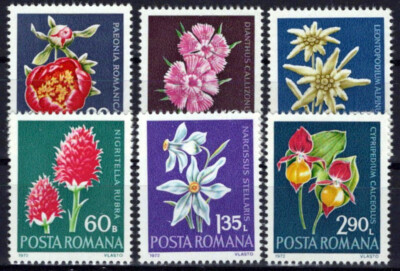 Romania 2331-2336 MNH Flowers Plants Nature ZAYIX 1224S0110 | eBay