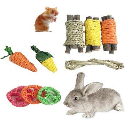 Haustier Kaninchen Meerschweinchen Drache Katze Spaß Spielzeug Hamster Kaninchen Kaninchen Zähneknirschen