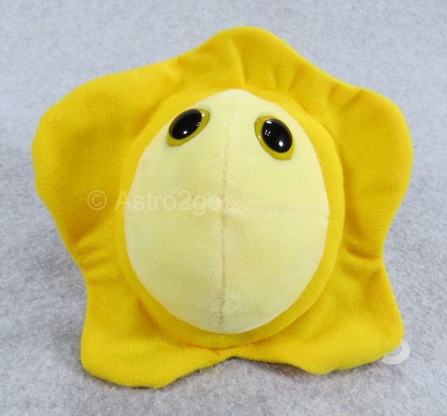 giant microbes herpes