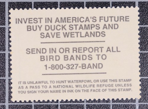 Scott RW64 1997 $15.00 Duck Stamp MNH PSE Cert Grade 95 SCV $95.00 - Picture 2 of 3