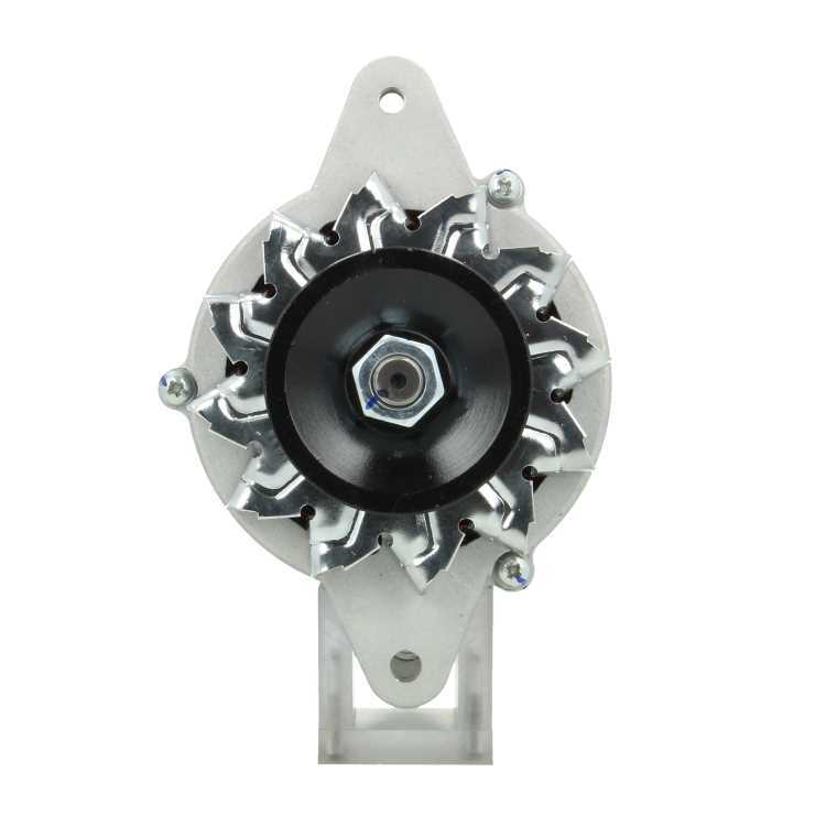 Bv Psh Alternatore 695.002.035.050 - Immagine 5