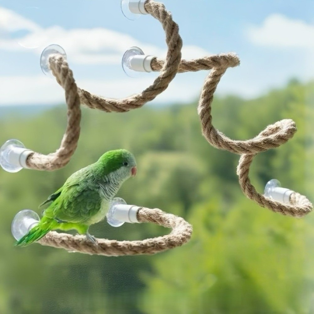 Accesorios de jaula de cuerda de escalada de pájaros ventosa de agarre cómodo