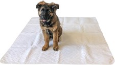 Midlee 47 X 47 Dog Pee Pad- Pack Of 2- Large Puppy Potty Training Pad