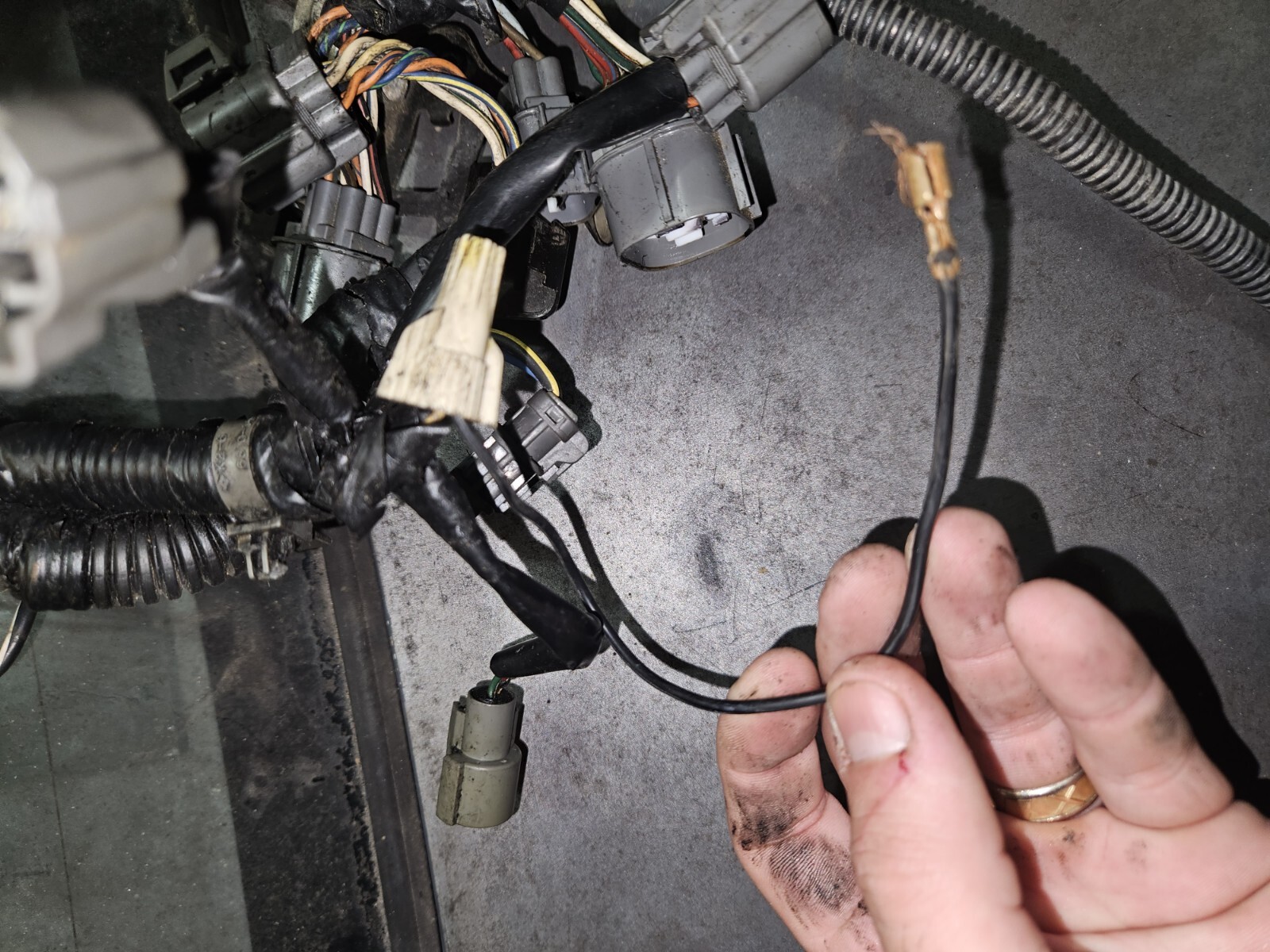 19921995 Honda Civic 1.5 D15B7 M/T Engine Wire Wiring Harness eBay