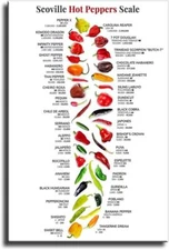 Scovill Hot Peppers Scale Poster Chilli Capsicum Knowledge Posters Nature Plant