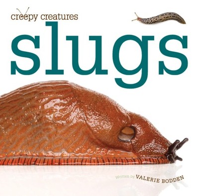 Slugs (Creepy Creatures (Creative Education)) - hardcover Bodden, Valerie