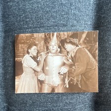 Wizard Of Oz Postcard