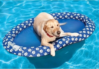 SwimWays Paddle Paws Dog Pool Spring Float Raft for Large Breeds 65 lbs & Up