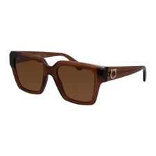 Salvatore Ferragamo SF 2014S 232 Transparent Brown Acetate Sunglasses Brown