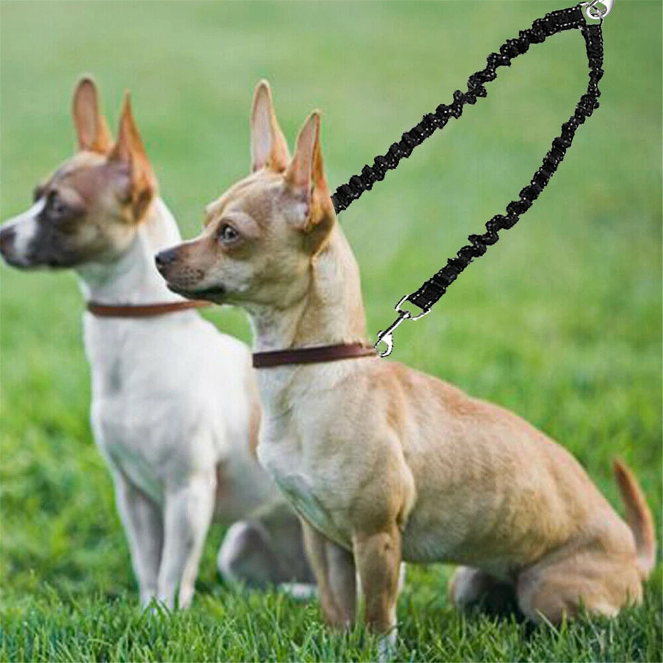 Strong Nylon 2 Way Dog Coupler Leash Bungee Double Lead Twin Two Dogs Walking - Image 2 of 4