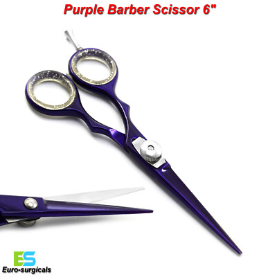 PROFESSIONELLE FRISEUR HAARSCHNEIDESCHERE BARBER SALOON 6 ZOLL CE