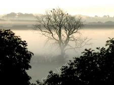 Photo 6x4 Still Air Hedon The absolutely still air in South West Holderne c2009