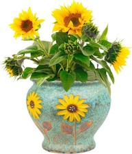 Hand-Painted Ceramic Succulent Planter with Daisy Design
