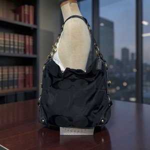 COACH コーチ Carly カーリー 10619 シグネチャー　黒 美品 Coach 10619 | eBay