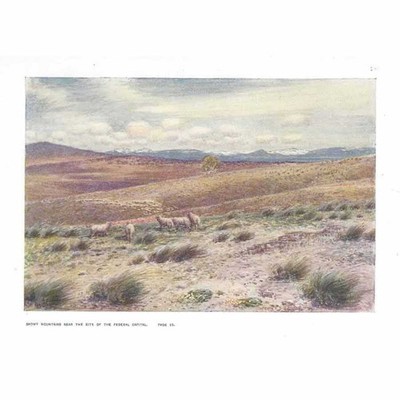 AUSTRALIEN Snowy Mountains nahe der Bundeshauptstadt - antiker Druck 1911