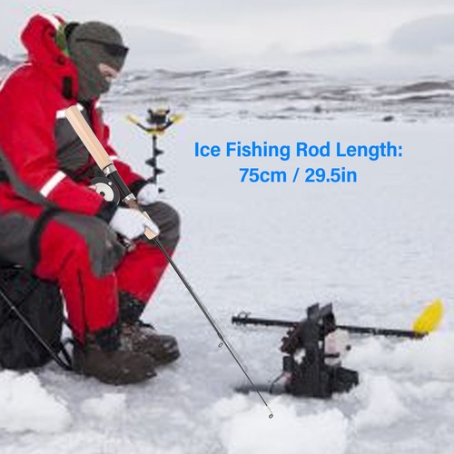 Canna da Pesca Ghiaccio Mulinello Combo 75cm Palo da Pesca Invernale per Padri Figli Marito WT - Foto 24 di 24