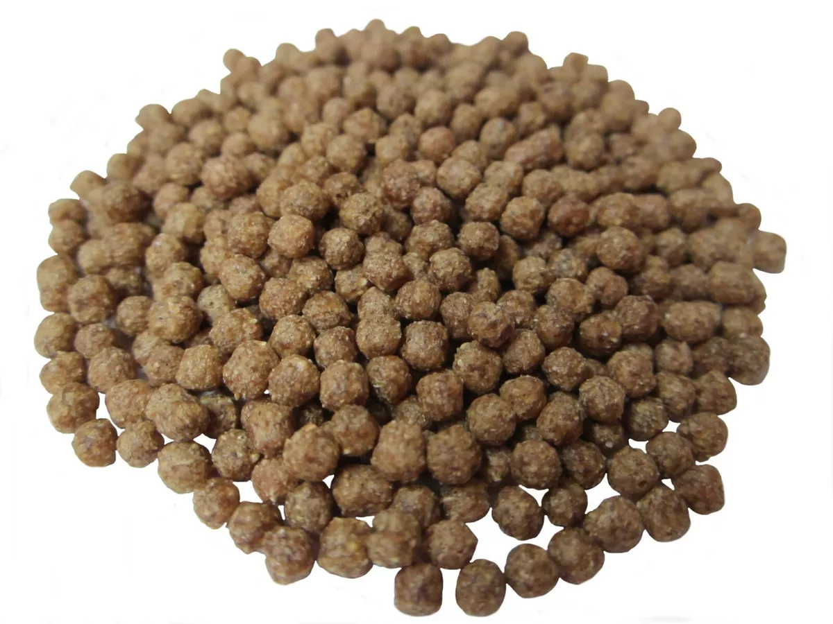 Lizard pellets cheap