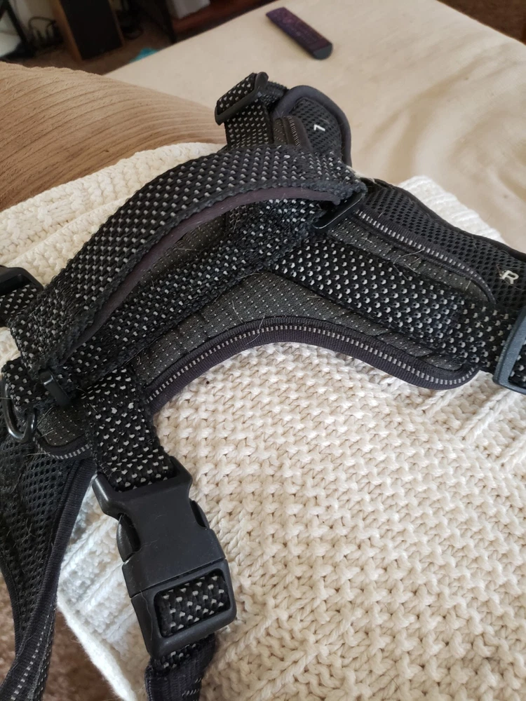 dog harness large