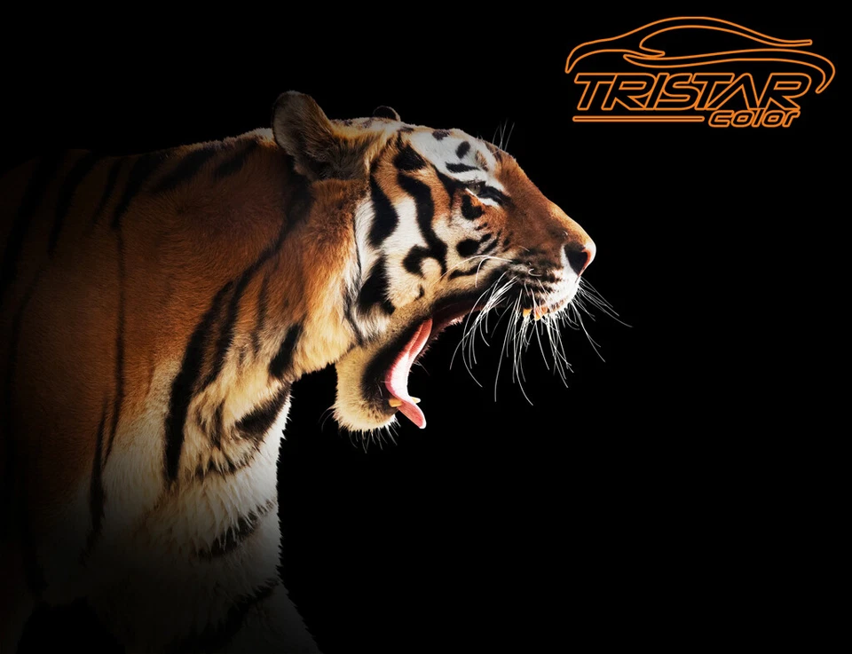 RAL 7016 Anthrazitgrau matt Lackstift 50 ml schnelltrocknend - Bild 3 von 4